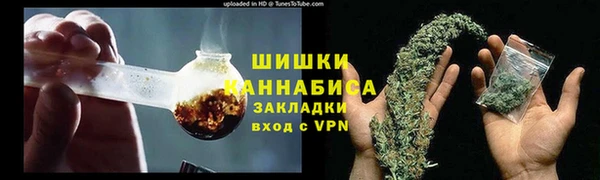 гидра Белоозёрский